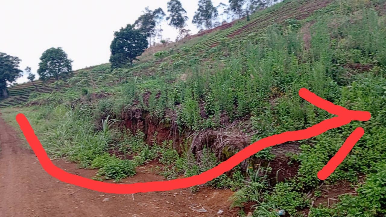 LAND FOR SALE  — photo 2