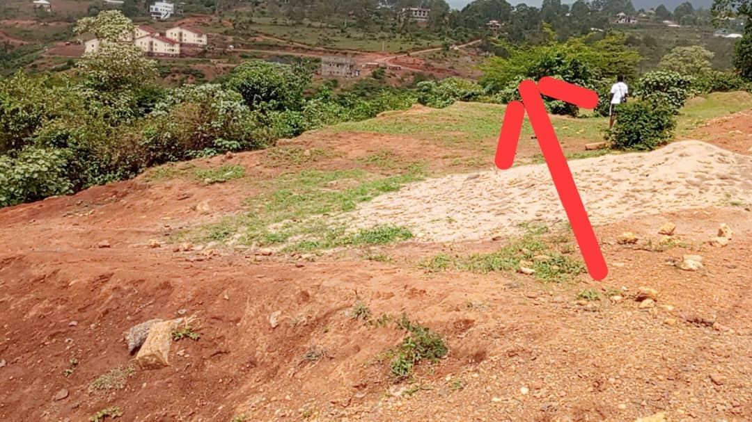 LAND FOR SALE  — photo 2