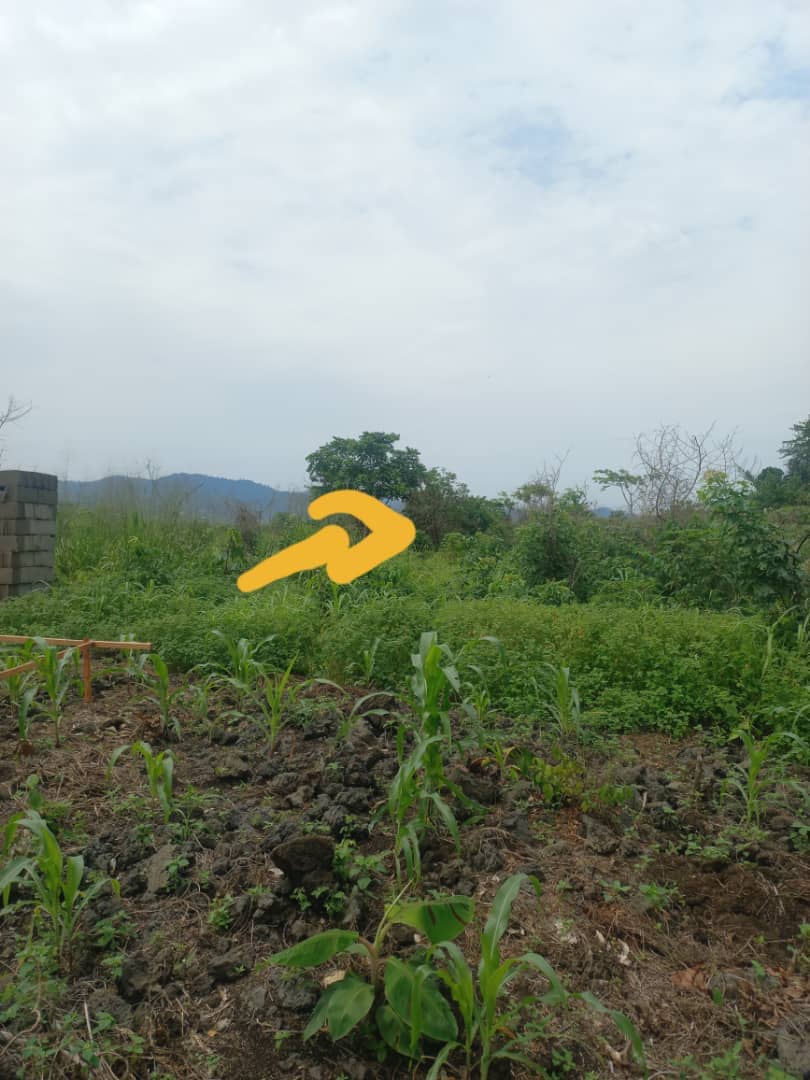 LAND FOR SALE 