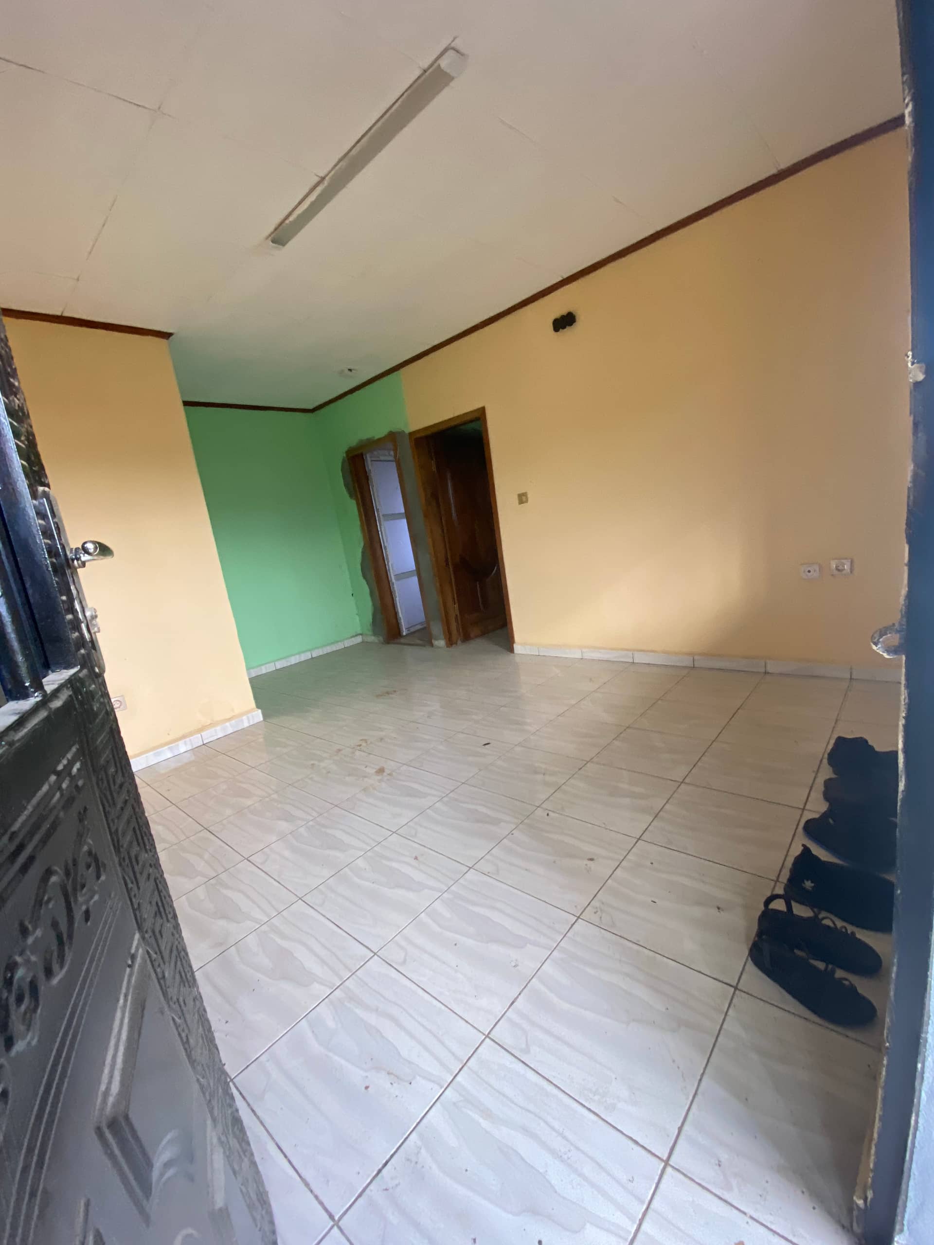 Newly constructed studio at Bokwai  — photo 3