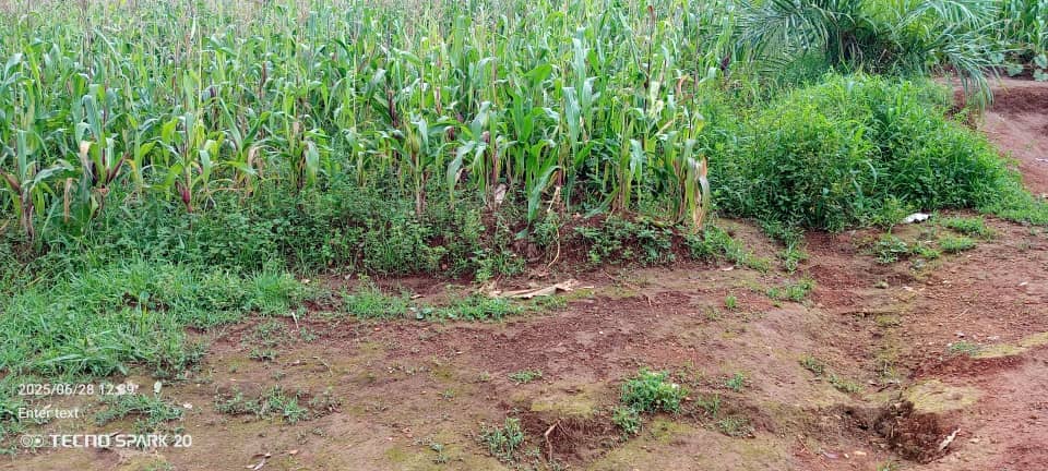 LAND FOR SALE 