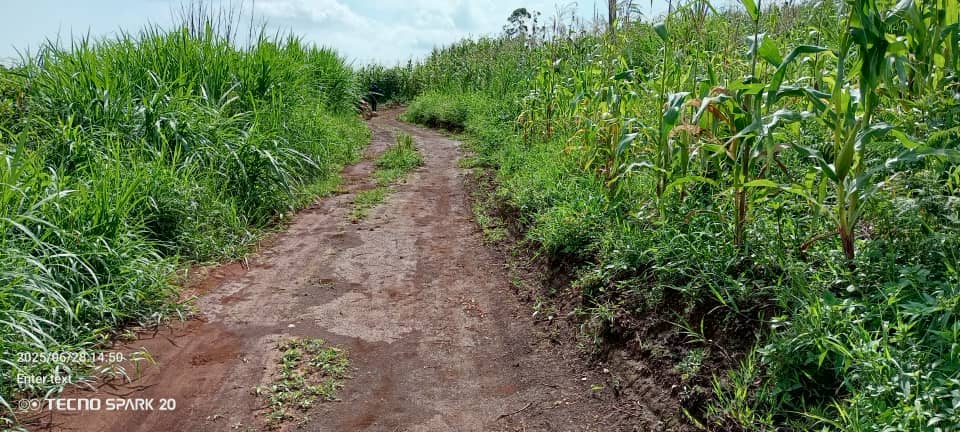LAND FOR SALE 