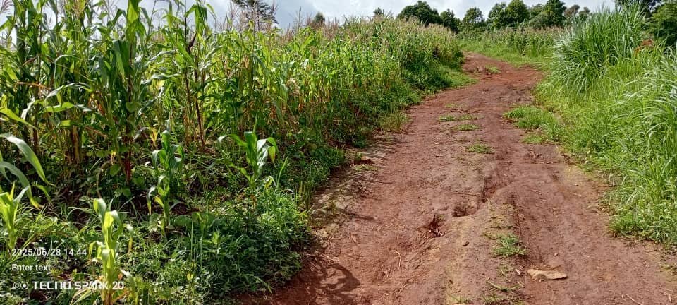 LAND FOR SALE  — photo 2