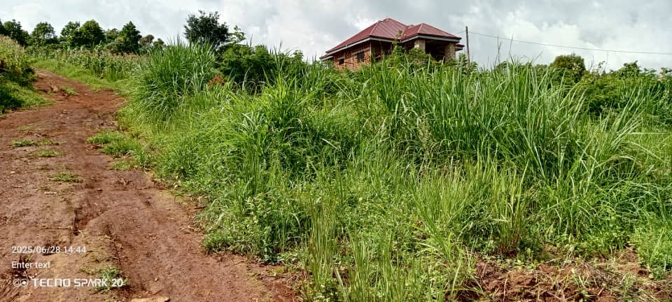 LAND FOR SALE  — photo 3