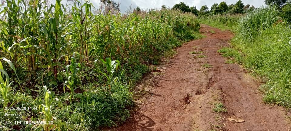 LAND FOR SALE  — photo 4