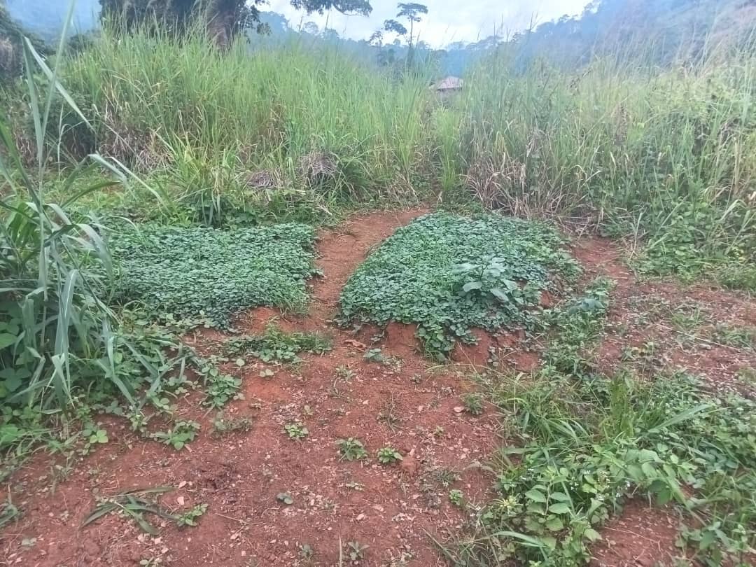 400m2 plot size standing