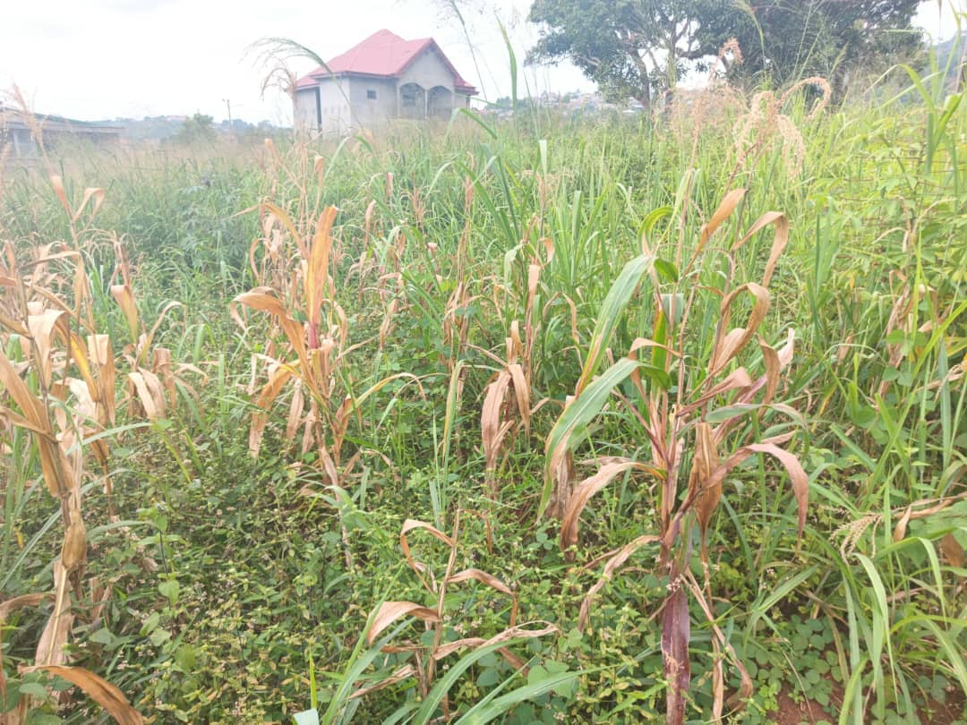 400m2 plot size standing — photo 2