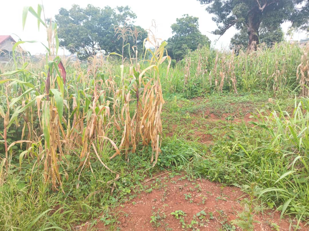 400m2 plot size standing — photo 3
