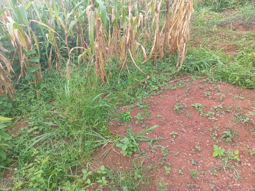 400m2 plot size standing — photo 5
