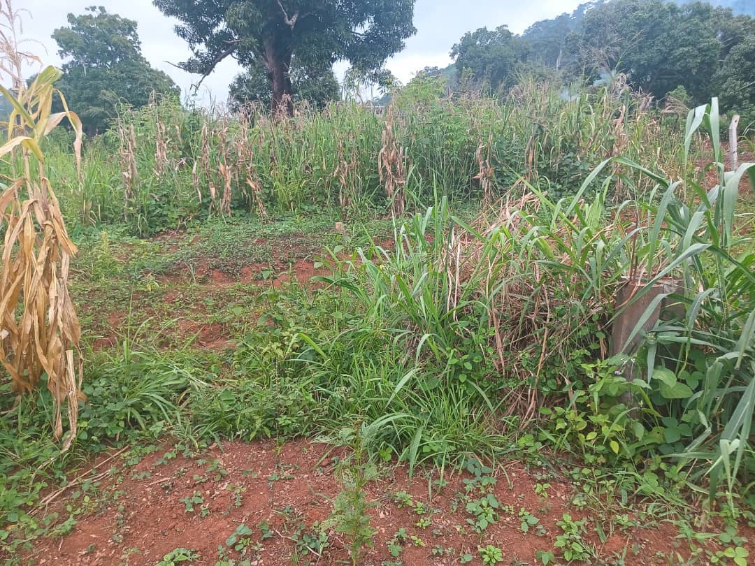 400m2 plot size standing — photo 6