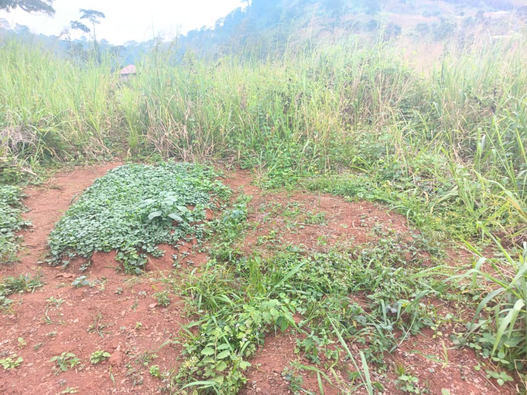 400m2 plot size standing — photo 7