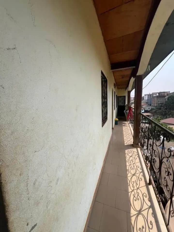 mini studio moderne mendong