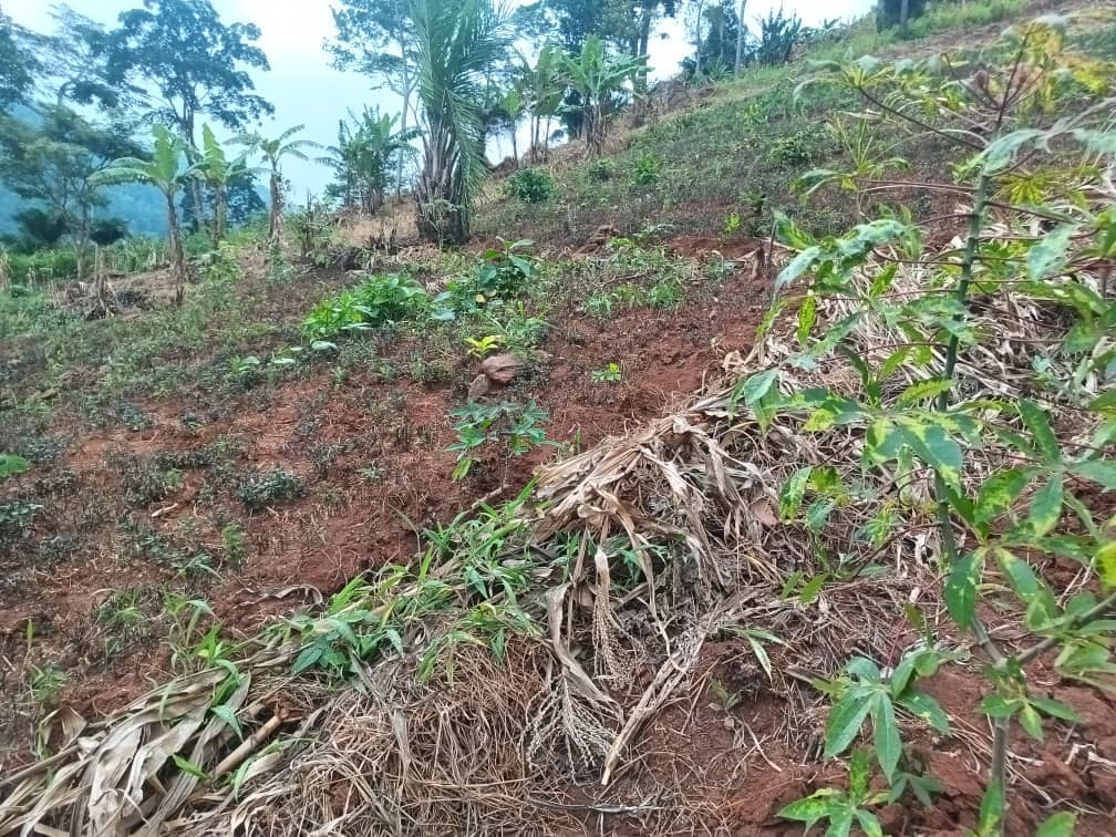 500m2 of Residential plot area standing. — photo 2