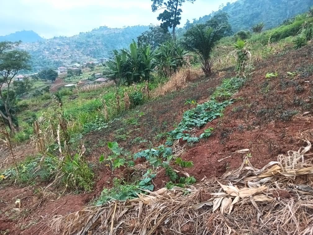 500m2 of Residential plot area standing. — photo 4