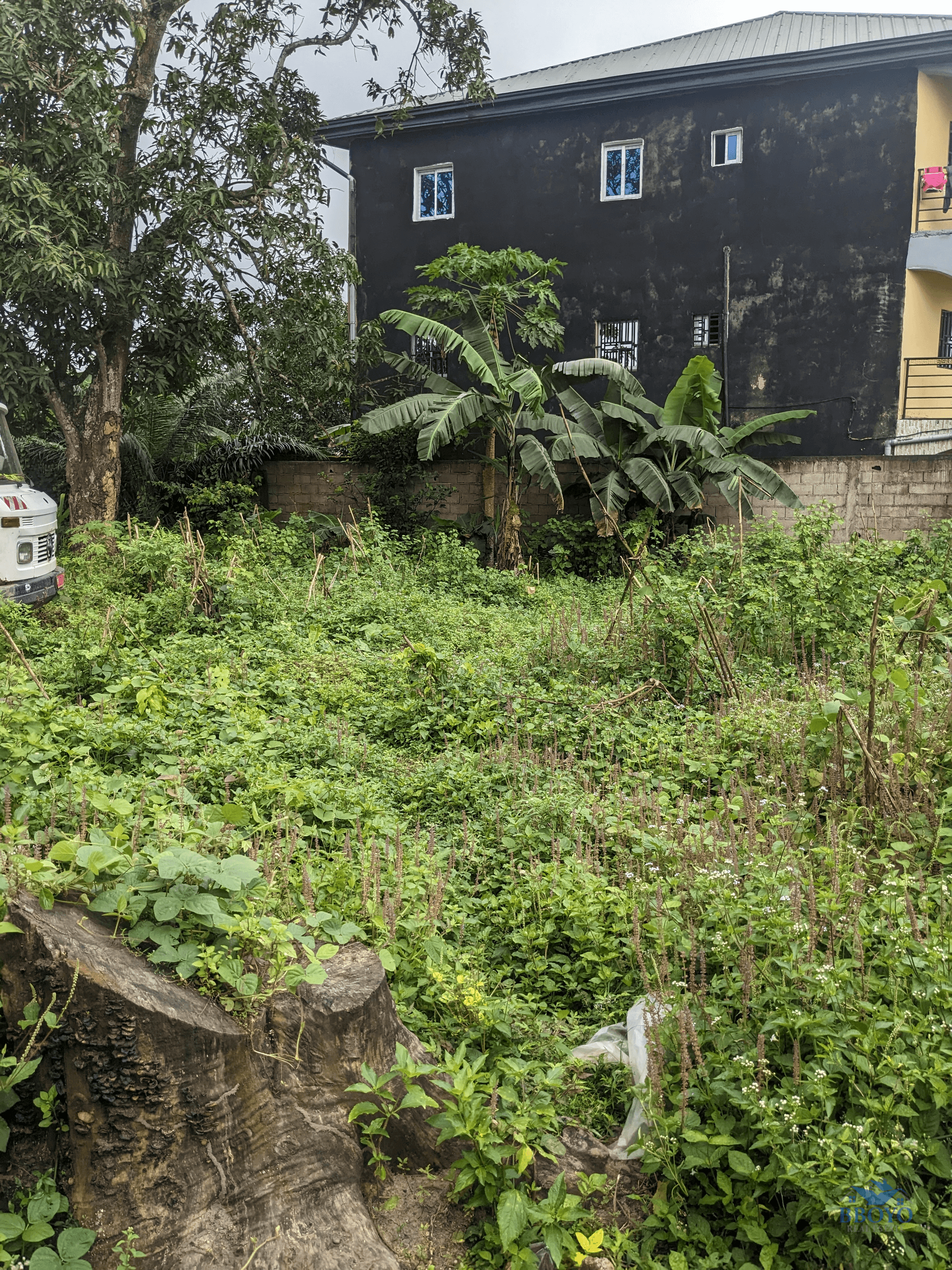 PRIME LAND  — photo 4