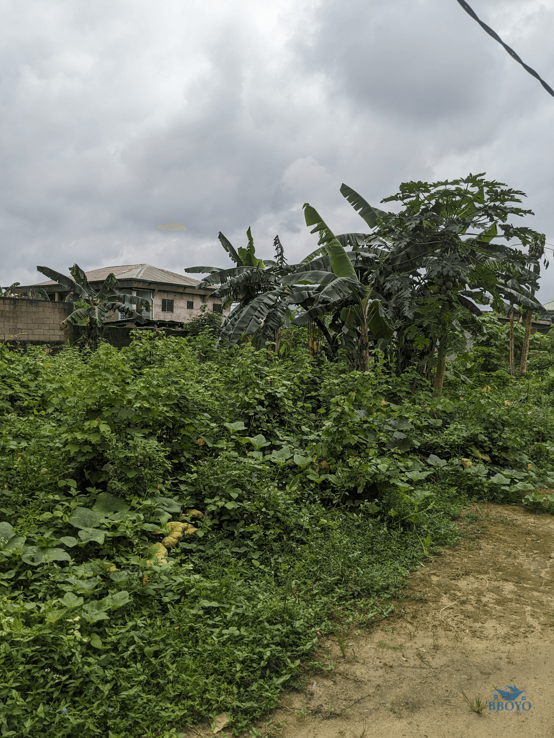 PRIME LAND  — photo 6