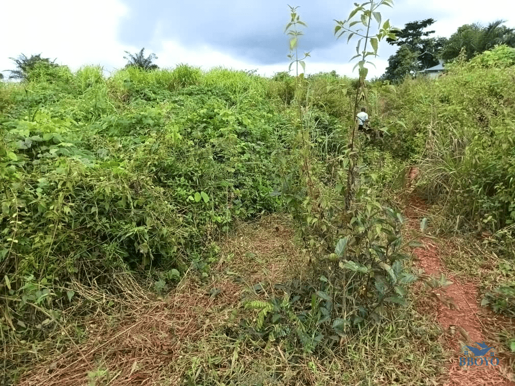 400m2 plot area standing  — photo 6