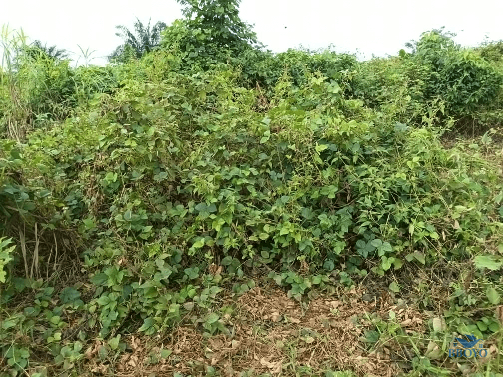 400m2 plot area standing  — photo 4