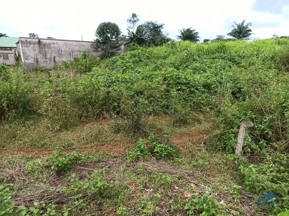 400m2 plot area standing  — photo 5