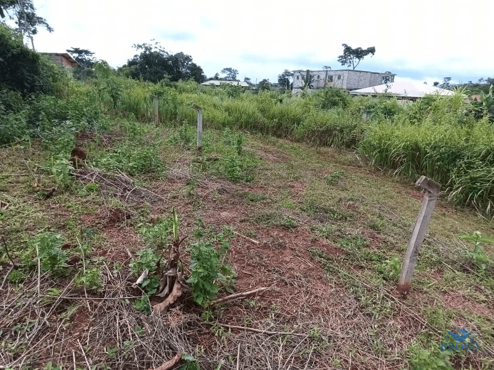 400m2 plot area standing 