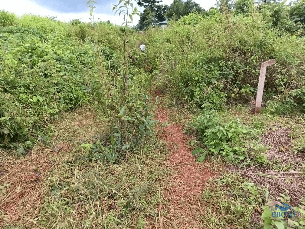 400m2 plot area standing  — photo 7