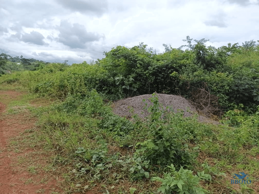 400m2 plot Area  — photo 7