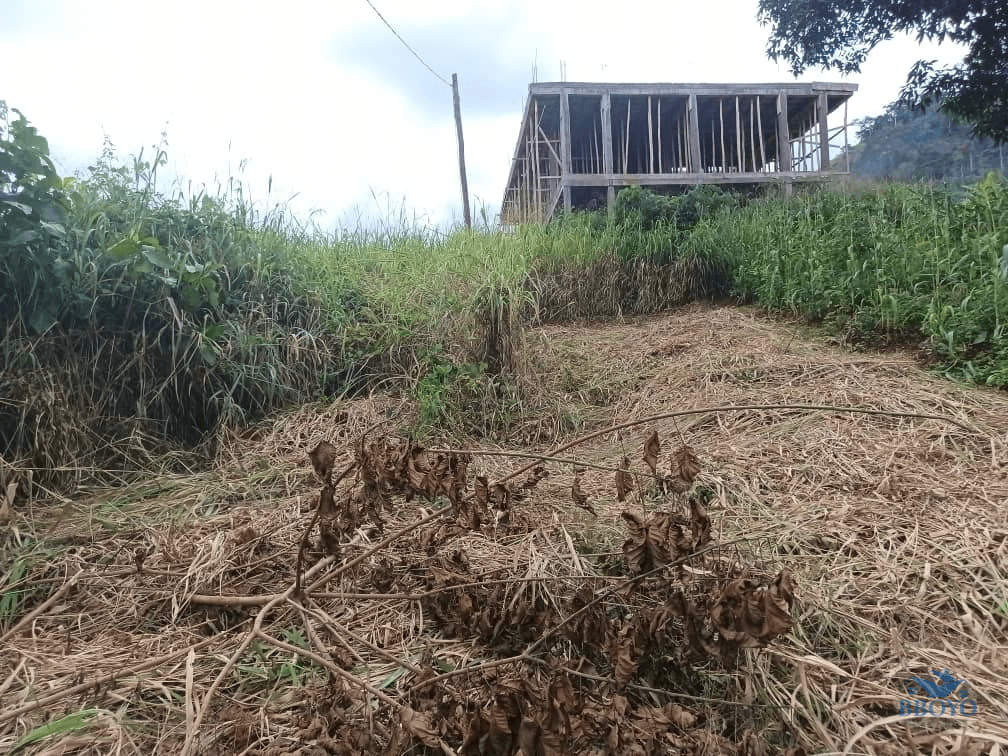 Plot size 1000m2 