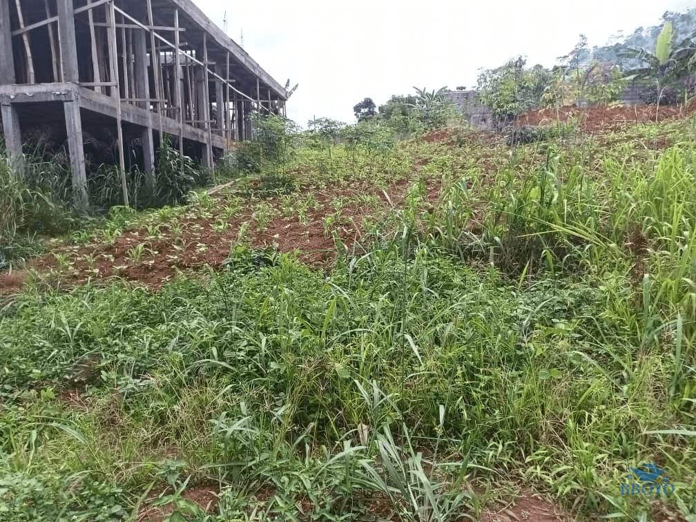 Plot size 1000m2  — photo 6