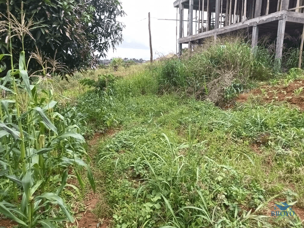 Plot size 1000m2  — photo 4