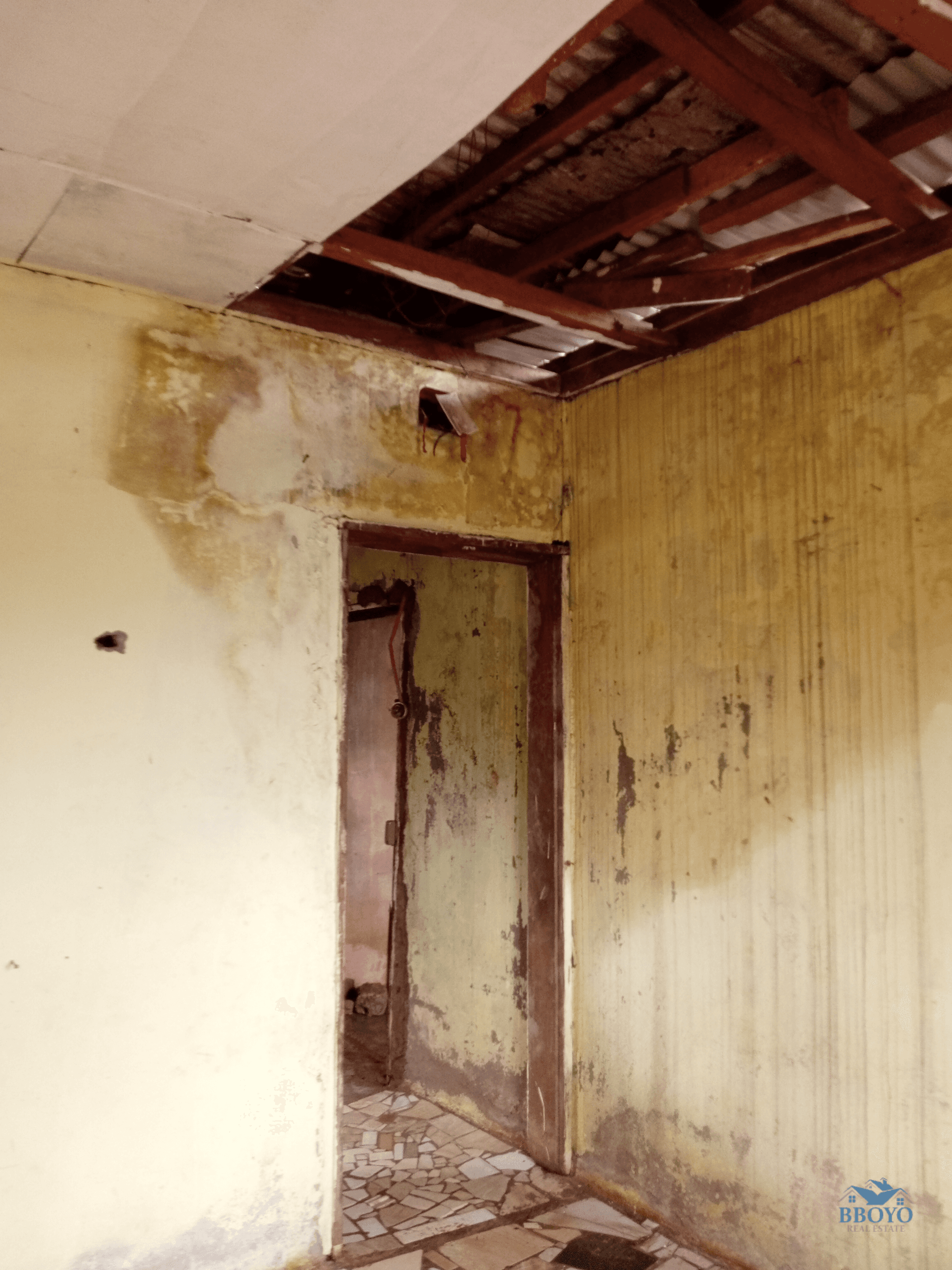 Studio — photo 7