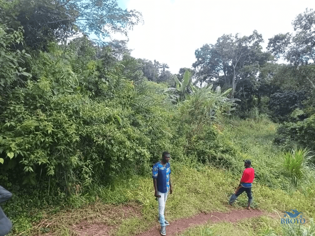 300m2 plot area — photo 7