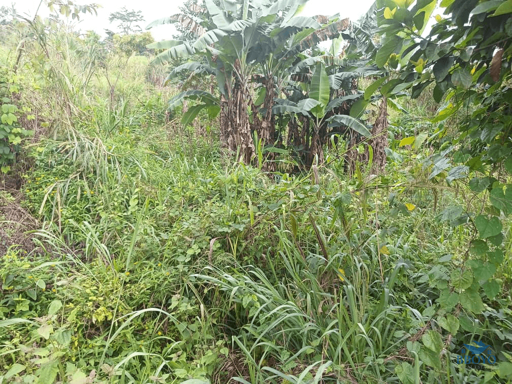 300m2 plot area — photo 2