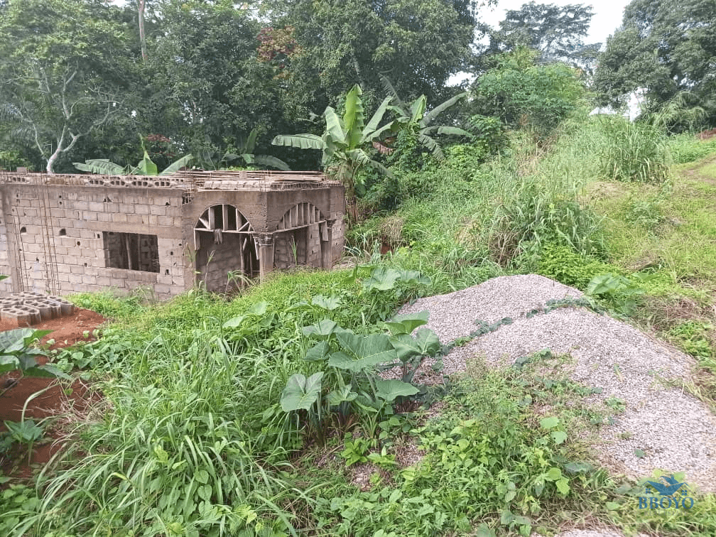 300m2 plot area — photo 4