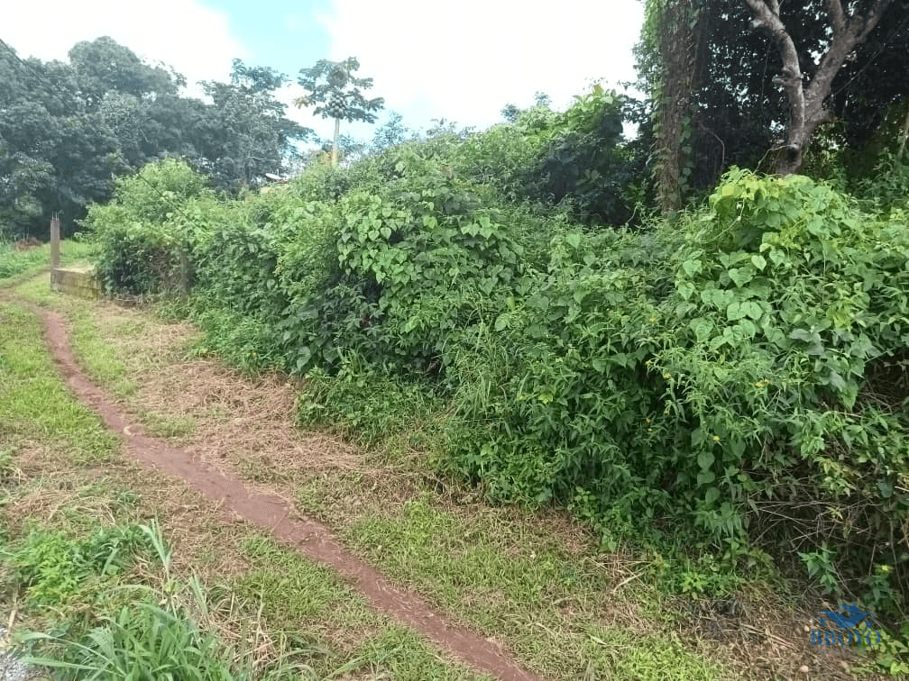 300m2 plot area — photo 6