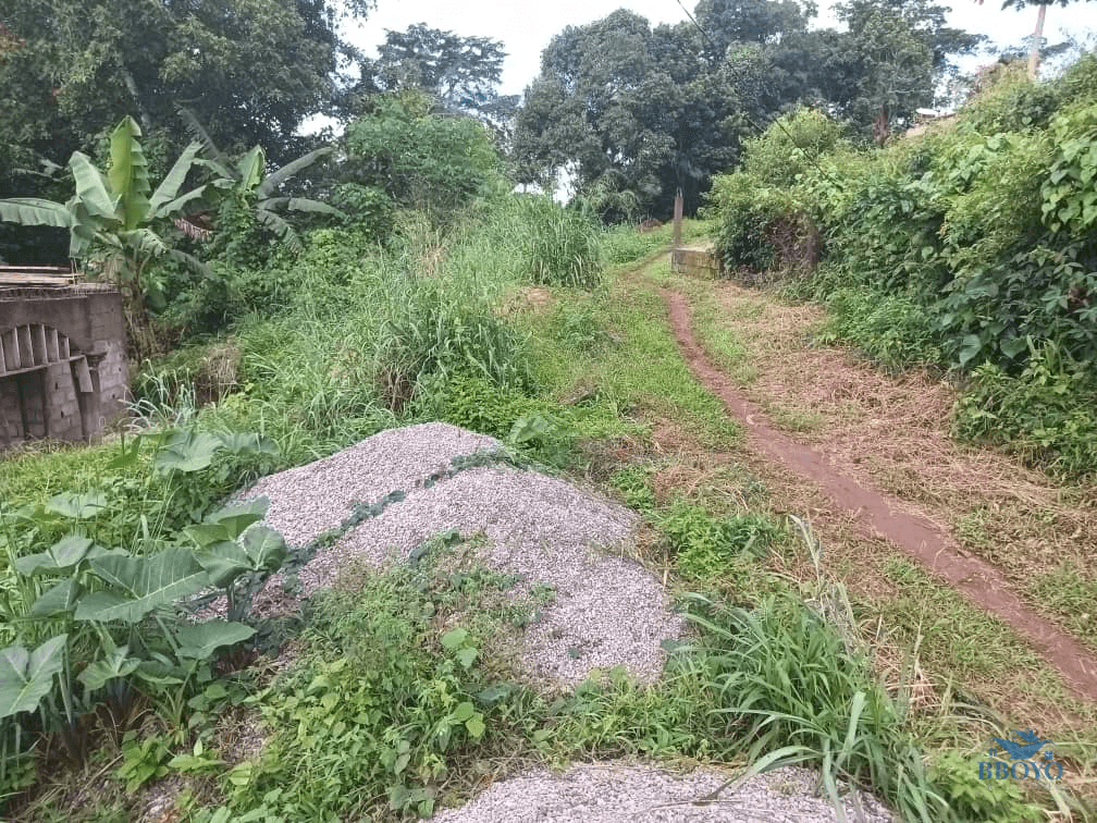 300m2 plot area