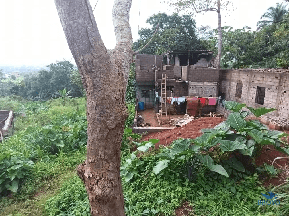 300m2 plot area — photo 3