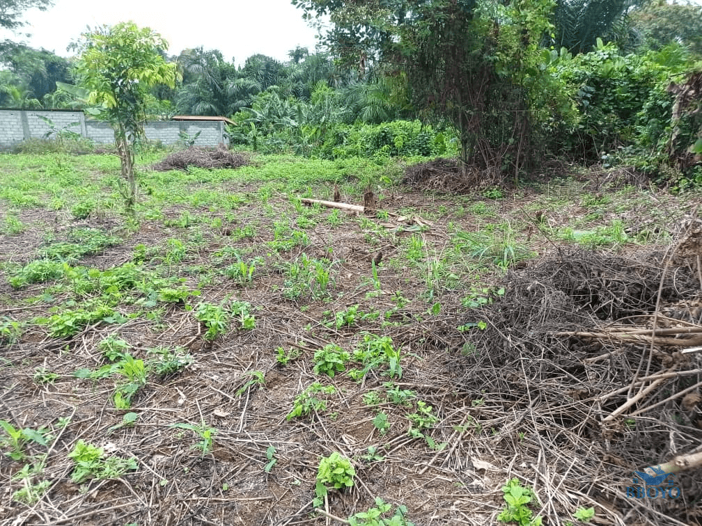 Plot Area, 500m2 