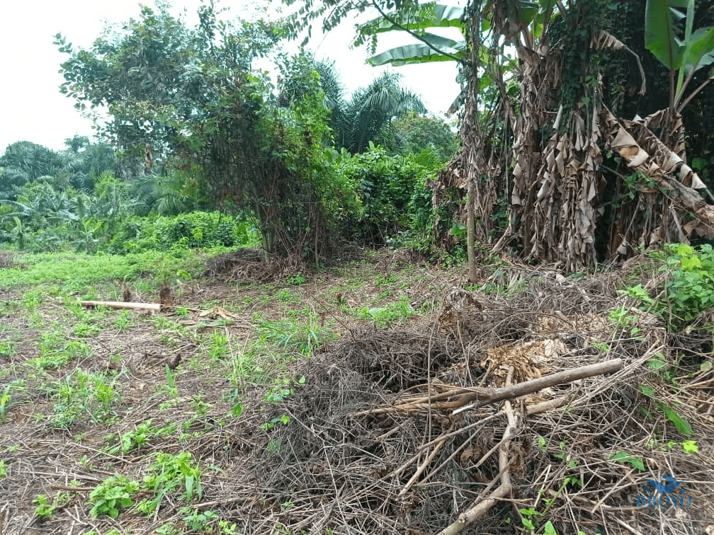 Plot Area, 500m2  — photo 3