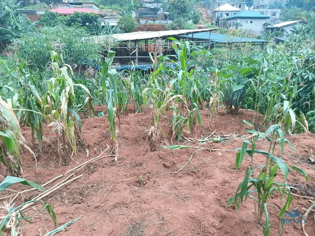 300m2 available  — photo 7