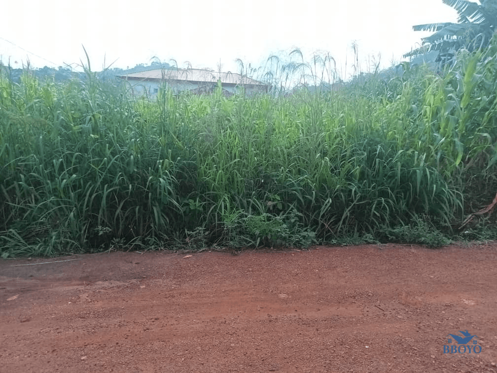 400m2 plot area standing  — photo 5