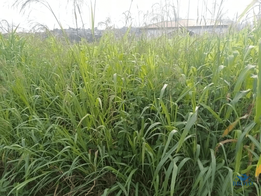 400m2 plot area standing  — photo 7