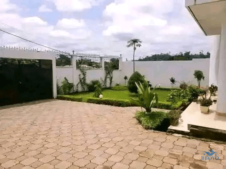Duplex à louer nkoabang — photo 3