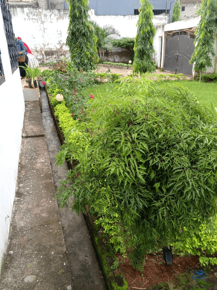 Duplex à louer nkoabang — photo 4