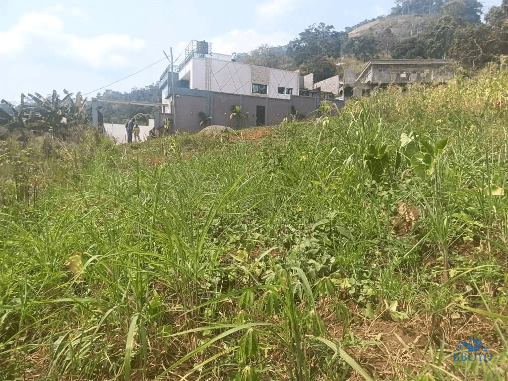 Plot Area, 300m2 