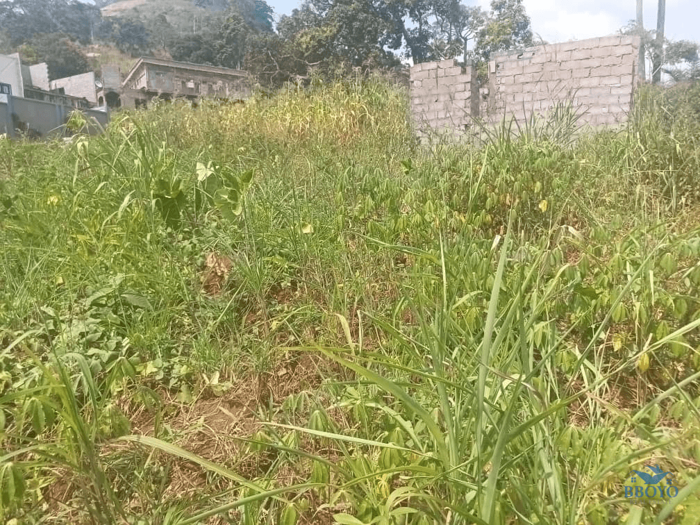 Plot Area, 300m2  — photo 2