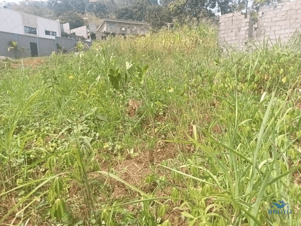 Plot Area, 300m2  — photo 4