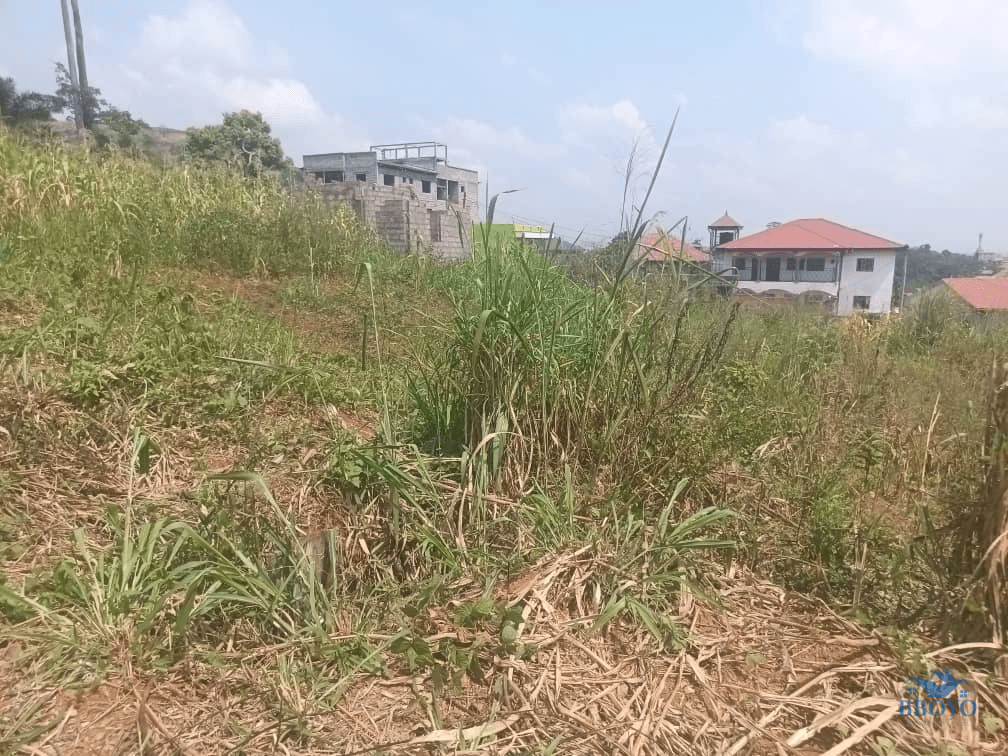 Plot Area, 300m2  — photo 7