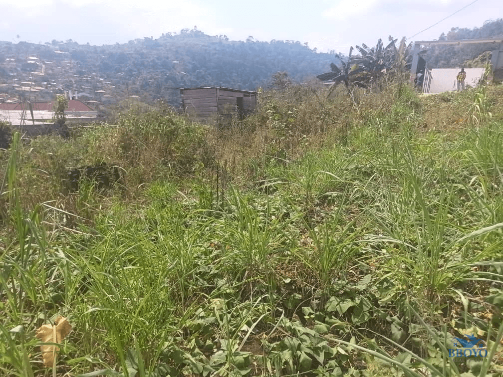 Plot Area, 300m2  — photo 3
