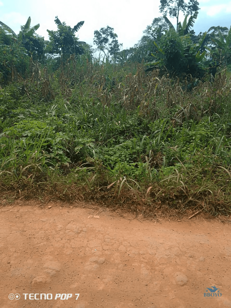 Terrain à vendre mbankomo