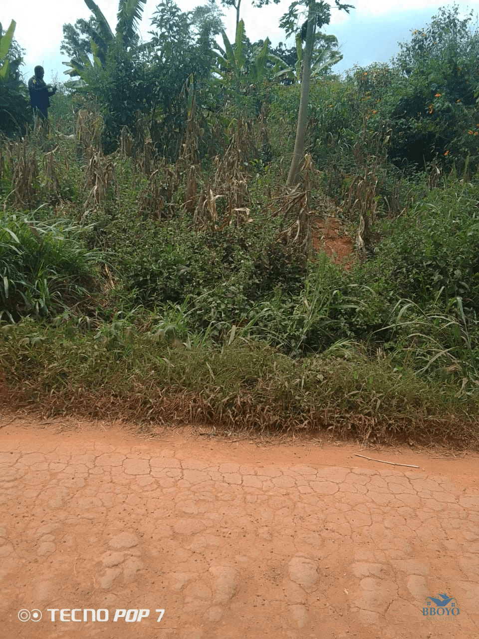 Terrain à vendre mbankomo — photo 2